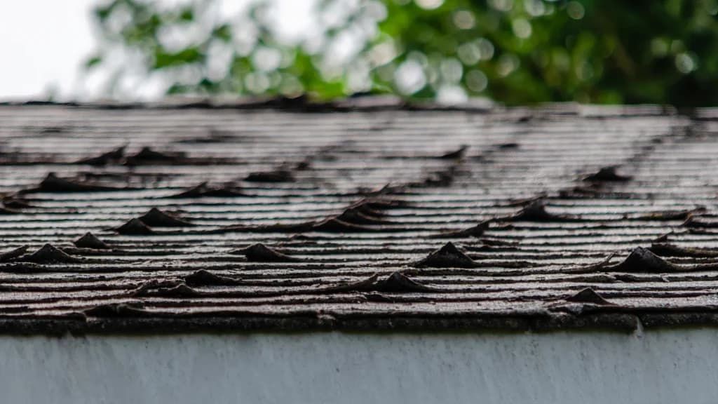 Full Asphalt Shingle Replacement, before