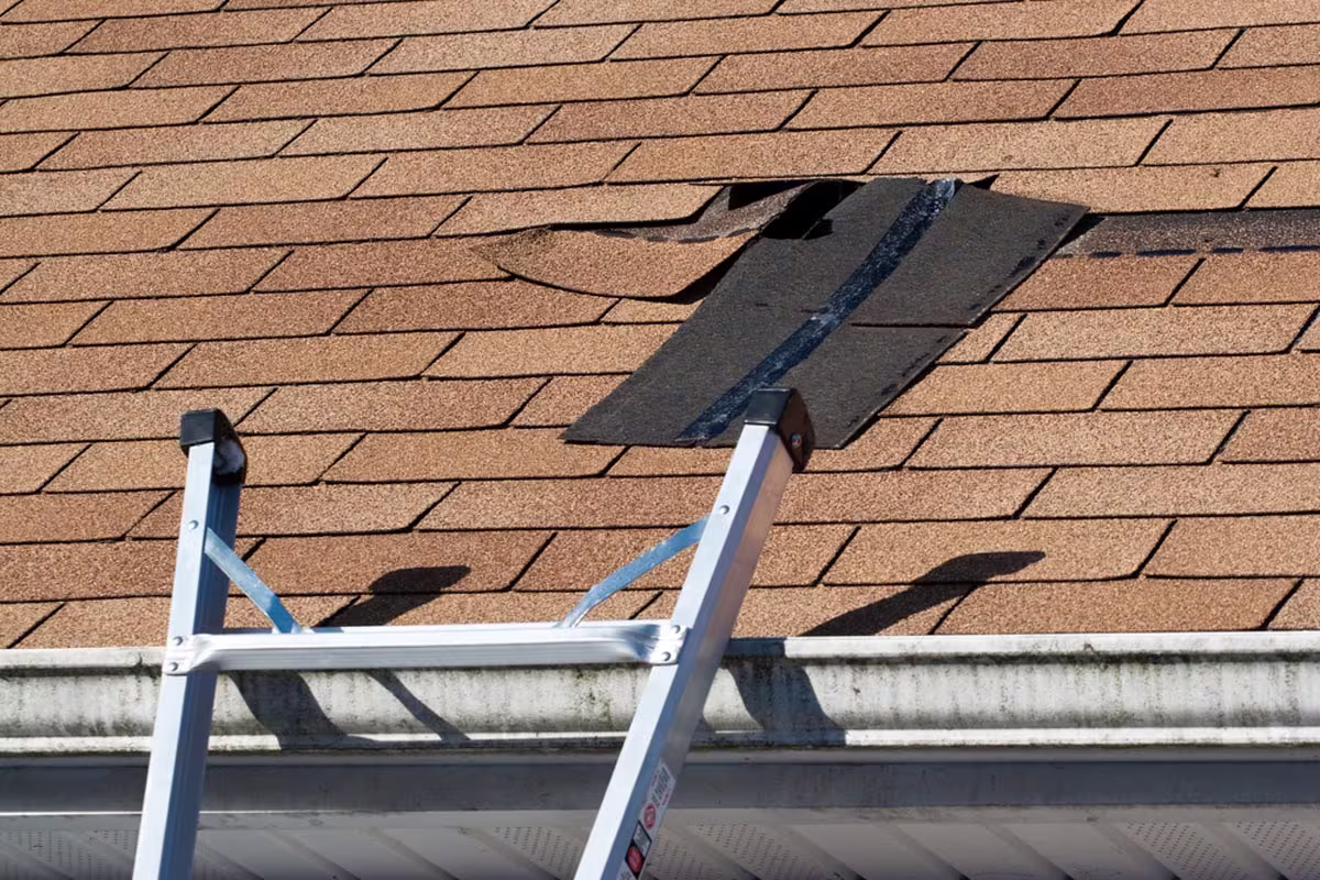 Roof Repair, Wind Proof Roofing